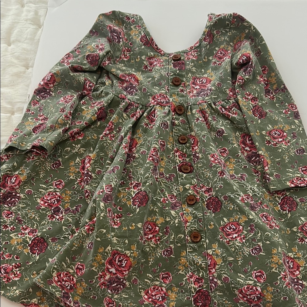 Sweet Honey Size 4T Floral Button-Down Dress